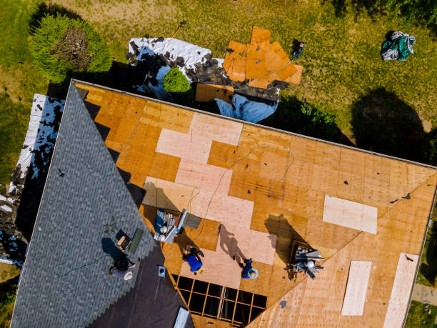 Best Commercial Roofing Services  in St Elmo, IL