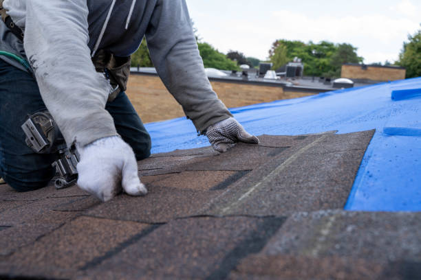 Best Roof Maintenance Services  in St Elmo, IL