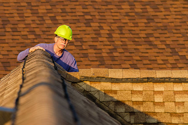 Roof Gutter Cleaning in St Elmo, IL