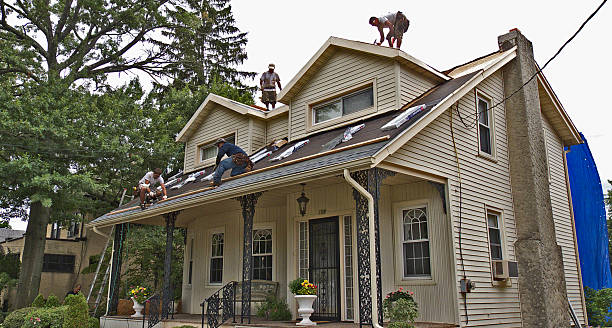 Best Gutter Installation and Roofing  in St Elmo, IL